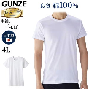 O[ KH[ Y  Ci[ ێVc 100 4L 傫TCY am   Ci[Vc  Rbg100 j N[lbN 炩 { GUNZE