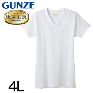 O[ KH[ Y  Ci[ vlbN Vc 100 4L 傫TCY am   Ci[Vc  Rbg100 j v 炩 { GUNZE