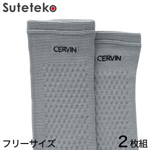 Ђp`^T|[^[ 2g t[TCY (Ђp `^T|[^[ 2g t[TCY) (pi)y񂹁z