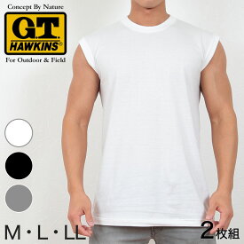 グンゼ サーフシャツ メンズ 綿100% 肌着 2枚組 M～LL (G.T.HAWKINS GTホーキンス 男性 紳士 シャツ スリーブレス セット ノースリーブ インナー M L LL)