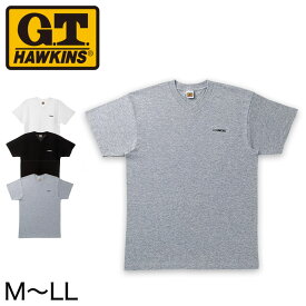 グンゼ 綿100% Tシャツ M～LL (メンズ 下着 肌着 綿 白 半袖 tシャツ インナー V首 vネック)