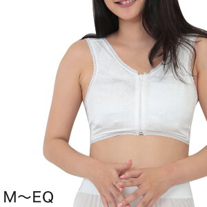 auW[ tgt@Xi[ a M`EQ(a   t uW[ OJ oXg ␳  NC[TCY 傫TCY 100 Rbg)y݌Ɍz