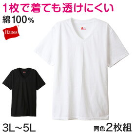 Hanes ビジカジ魂 VTシャツ 2枚組　BIG 3L～5L (V首 ヘインズ 綿100% Tシャツ 白 黒 無地 カジュアル HANES)【在庫限り】