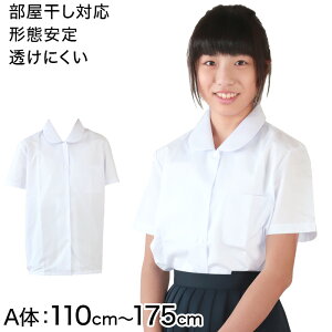 w `Ԉ q ۋܔuEX 110cmA`175cmA (w  wZ XN[Vc)y񂹁z