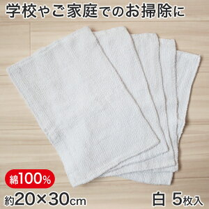 100% G 5g 20cm×30cm ( ƒp wZp Vw )