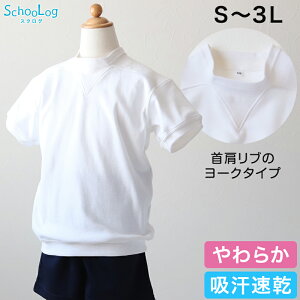 ̑  [N ̑ 傫TCY S`3L w wZ  160 170 V^̑ jq q   q   傫ȃTCY