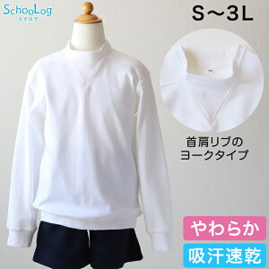  ̑ 傫TCY jq q [N S`3L (V^̑ ̑   w wZ ̎q j̎q  q  )