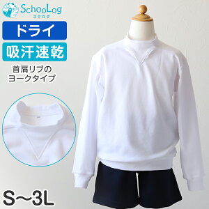 ̑  [N 傫TCY jq q S`3L (V^̑ ̑  wZ ̎q j̎q  q ȍ  LbY)