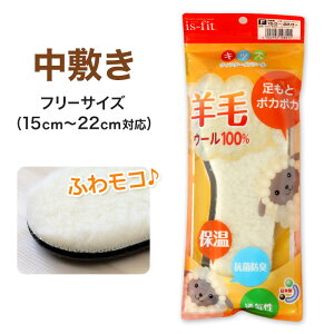 qp C\[ E[ ~p C ~ LbY WjA ~ 15cm`22cm q ǂ Xj[J[ V[Y r NbV