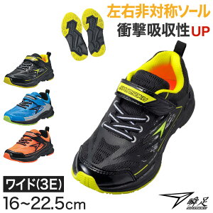 u LbY Xj[J[ j̎q ALX j  3E 16cm`22.5cm (WjA q LbY wZ w w   IW 17cm 18cm 19cm 20cm 21cm 22cm) ()y݌Ɍz