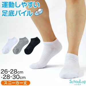 XN[\bNX   n Xj[J[ Ԃ pC NbV C (傫TCY) 26-28cmE28-30cm   O[ w Xj[J[\bNX w w ʊw \bNX wZ q