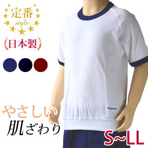 ̑  傫TCY ̑ w tVc  n S-LL jp j̎q ̎q LbY q gbvX ȍ wZ w