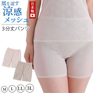 bV pc 3 { M`3L (3 MX Xpbc   炳 TT ߕtȂ q Ȃ 炭炭 傫TCY LL 3L y y  VjA 50 60)