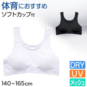 WjA X|[cu w X|u    bV uW[ 140cm`165cm LbY q t@[Xgu ̈deCi[  WjAu w  XN[Ci[ qu 140 1