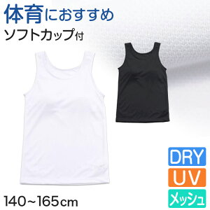 ^Ngbv Jbvt WjA w   LbY JbvtCi[ m[X[u 140cm`165cm q ̎q  bV q Ci[ ̈deCi[ w  Jbvt^Ng