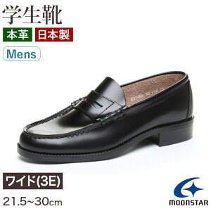 [t@[ {v jq Y wC ʊwC ʊw O XN[V[Y 21.5cm`30cm BV340A [X^[ moonstar wZ wZ Z WjA C  3E  ()y񂹁z