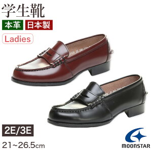 [t@[ {v q fB[X wC ʊwC ʊw O XN[ 21cm`26.5cm BV330 [X^[ moonstar ubN uE wZ wZ Z WjA C 2E 3E  ()y