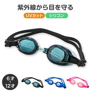 S[O j q LbY WjA w w ǂ UVJbg 6-12 XC~O qǂ XC~OXN[ jpi v[pi C v[ ߂