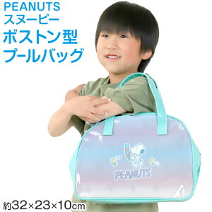 PEANUTS v[obO 񂰃obO Xk[s[EEbhXgbN 32×23×10cm r[`obO rj[obO XCobO {XgobO q j  X|[c TuobO {Xgy