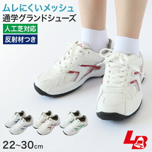 �ʊw���� �O���� �O�����h�V���[�Y �X�N�[���V���[�Y �X�j�[�J�[ �q���C �ʊw �R�C 22cm�`30cm ���b�L�[�x�� �x���t�B�[���h70 ���X�j�[�J�[ �w�Z ���w�Z ���w�Z ���Z �C �� ���C �V���v�� (����