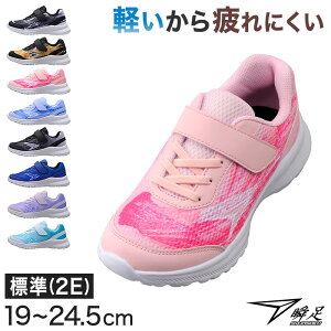 u Xj[J[ LbY j  2e y ^C ʊwC ALX 19cm`24.5cm r  sN wZ w w WjA q 20cm 21cm 21.5cm 22cm 23cm 24cm ()y݌Ɍz