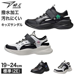 u LbY WjA T_Xj[J[ ̎q ALX y y T_ 19 20 21 21.5 22 22.5 23 23.5 24 cm wZ XN[ w w WjA q qǂ ʊw jO AEghA (