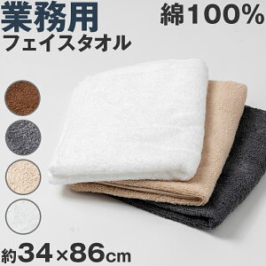 tFCX^I 100 n z Rbg q Ags[ _炩 ɗD Ȃ V Ɩp  O[ x[W F uE J[ ig hЗp ЊQp XgbNp s