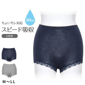 zV[c 30cc fB[X zPAV[c M L LL yփV[c RۖhL [ obNMU[  TbNX J [΂ ȍ zpc `[|Cg փV[c AR