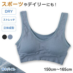 WjA X|[cu WjAu n[tgbv JbvtCi[ pC 150cm`165cm q  LbY X|u fC[u qǂ ̎q  w XN[Ci[