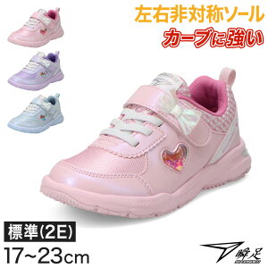 u Xj[J[ ̎q ALX  킢  ^C Ȃ₷ R[iO y 17cm`23cm WjA q LbY ʊwC wZ w w sN F ނ炳 18cm 19cm 20cm 2
