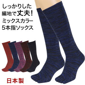 5{wC nC\bNX fB[X 22-24cm (5{w\bNX ܖ{w \bNX  22cm 23cm { v Jt)y݌Ɍz