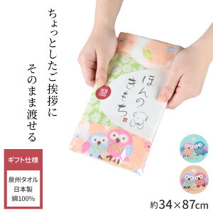 A ^I yY ei B^I 100 { ӂ낤 34×87cm N Mtg J^ K ӂ낤ObY nh^I tFCX^I v[g v`Mtg 蕨  Ԃ 