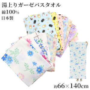 oX^I K[[ 唻 K[[^I { z^I 66×140cm K[[ z   RpNg y _炩 3dK[[ Mtg v[g ɗD q Vv Jt