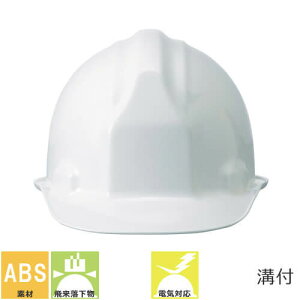 wbgypEEƗpEHpEdCpziawH V SS-13^S-13T ABS AJ^Cv Ђt ƌ荇ii Y SS