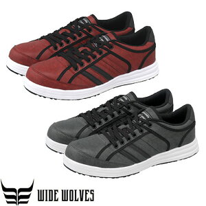 SC ӂ ChEuY [Jbg R^Cv WW-304AWW-305 RC JSAAKi veNeBuXj[J[