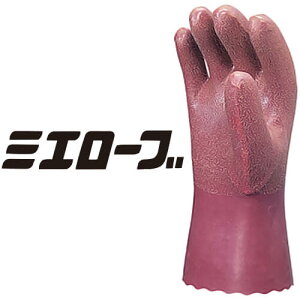 h Ɨp OdwH \tgo[h 716