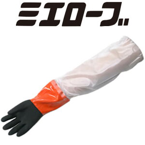 h Ɨp OdwH \tg{Ac[gO(h) 704