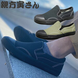 ƌC RS eЂ #31 EE448 cȂ fBXTCYL R hL Ȕz JWA Xb| jp