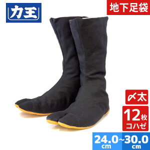 Ղpi n Ց Y12Rn[ ͉ t@C^[ n ^r  ƂѐE Ղ   Dt Ɨp ߑ Ղ ՗ Cxg C čՂ ԉΑ oR 悳  a