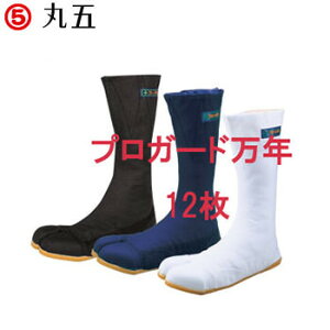 vK[hN12Rn[ S }S ی n Ɨp S  ^r n c