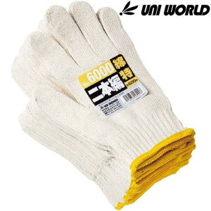 ƗpR j[h ȓa 2{҂ 12o×10Zbg(120o) 6000 aigN{[j