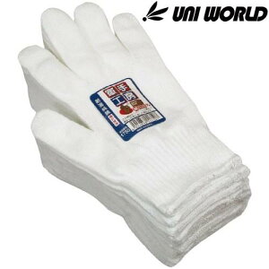 ƗpR j[h ȃTV 10Q[W 12o×10Zbg(120o) 1750  