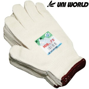 ƗpR j[h ȃS Α YR 12o×10Zbg(120o)