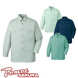 d TomoeSAKURA ƕ 1765 Vc t Y ƒ  [NEGA