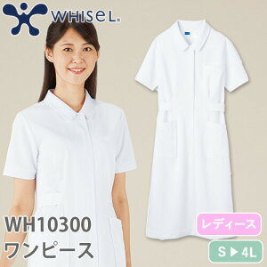 s[X  i[X WH10300  i[XEFA d whisel zCZ fB[X p ×p  jtH[ Ōt i[X a@ t GXe T  킢  