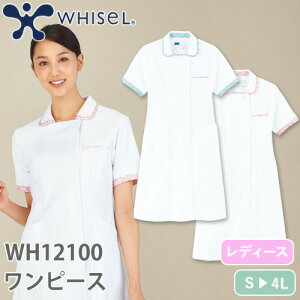 s[X  i[X WH12100  i[XEFA d whisel zCZ fB[X p ×p  jtH[ Ōt i[X a@ t GXe T  킢  