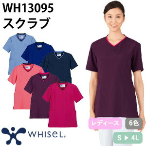 XNu   fB[X p  WH13095 d whisel zCZ t  Ōt i[X C ×p lC p  jtH[ Xgb` Lт R a@   