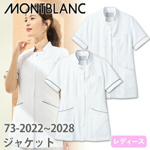 WPbg  P[V[ `jbN 73-2028E2022   Zu fB[X p  t  Ōt i[X ܎t ×p a@ ƗÖ@ lC  㖱 f@  