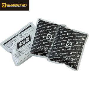 ۗ R[RXM CO-COS ACXpbN 3Zbg GI-404 ƒ ƕ t