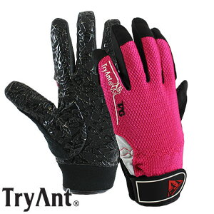 lHv TryAnt gCAg OX PU }WbN 10o #713 Ǝ